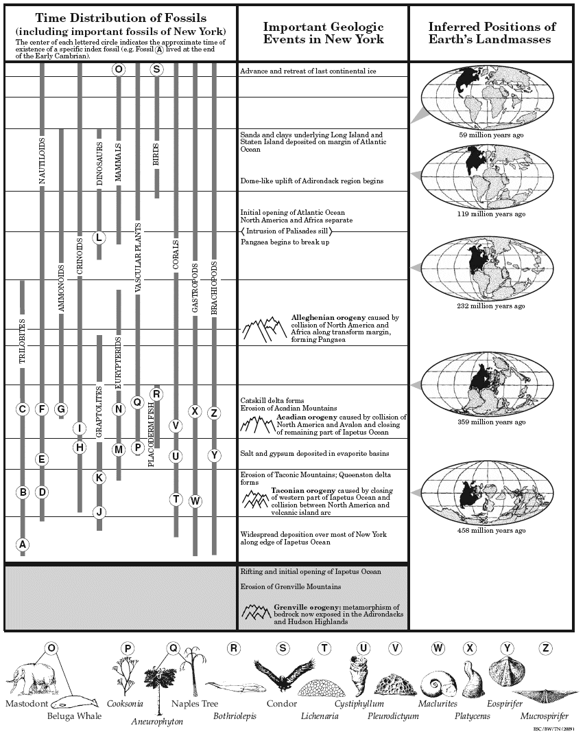 Castle Learning Earth Science Reference Table 12